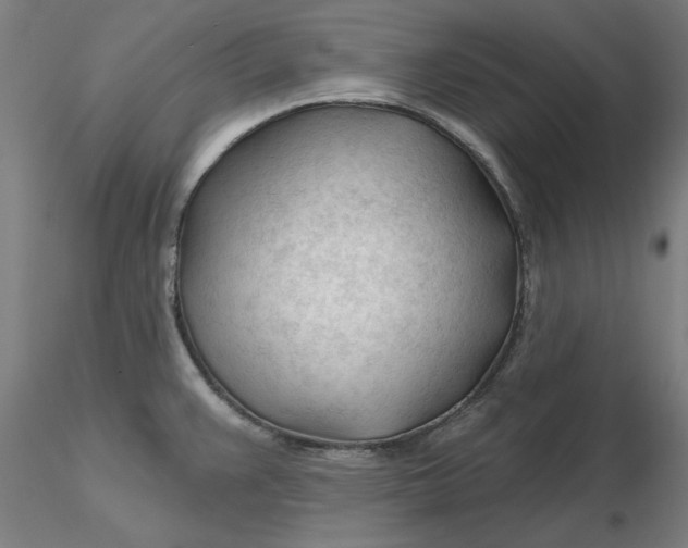 X0000116341383200912221432