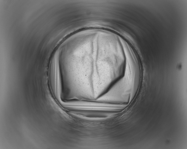 X0000116341384200912221432