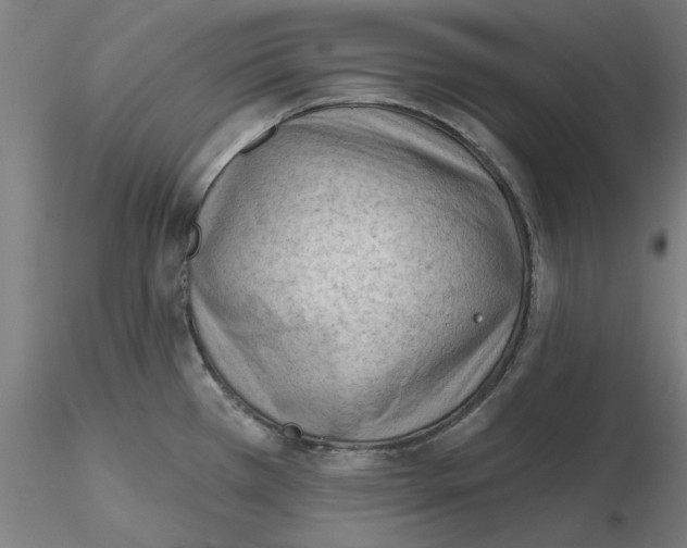 X0000116341385200912221432