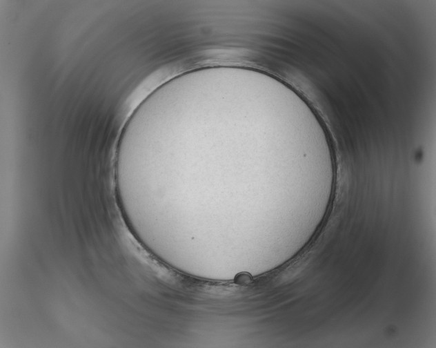 X0000116341386200912221432