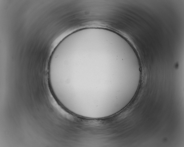 X0000116341387200912221432