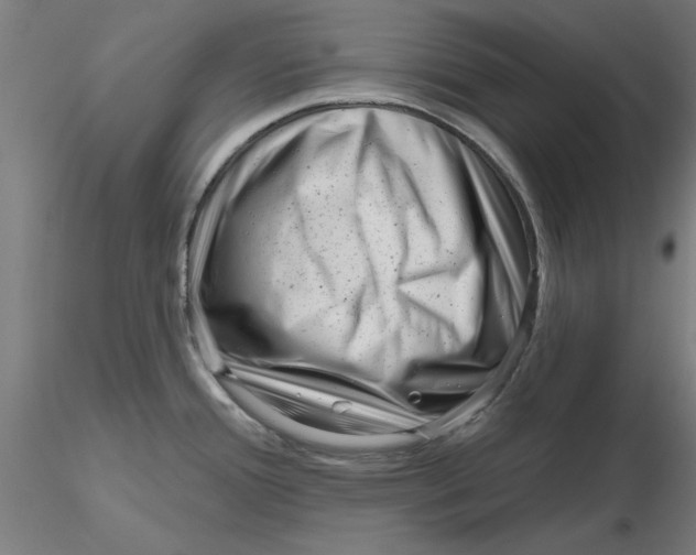 X0000116341388200912221432