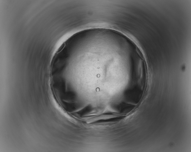 X0000116341389200912221432