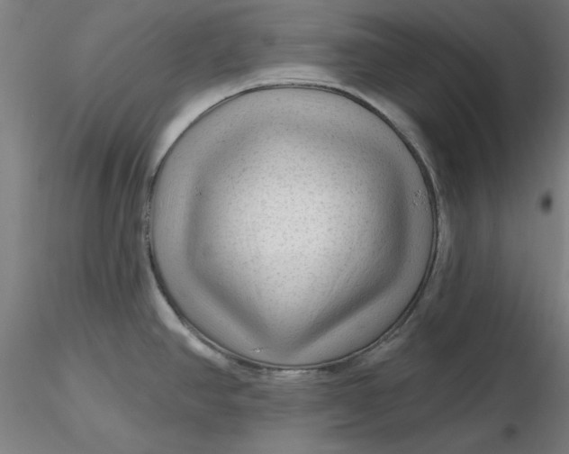 X0000116341390200912221432