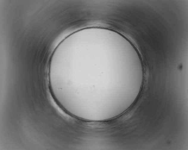 X0000116341391200912221432