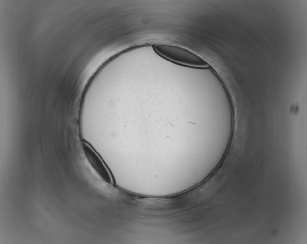 X0000116341392200912221432