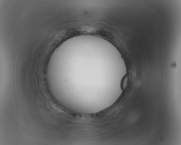 X0000116341393200912221431