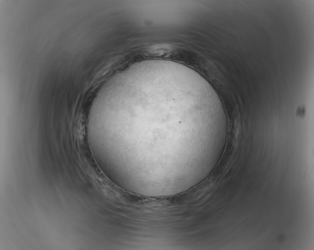 X0000116341394200912221431