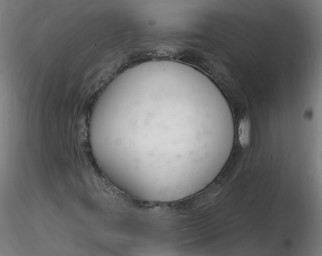 X0000116341395200912221431