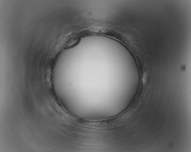 X0000116341396200912221431