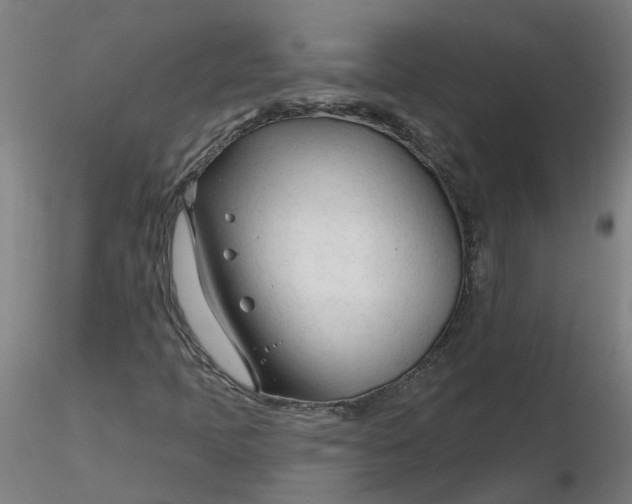 X0000116341397200912221431