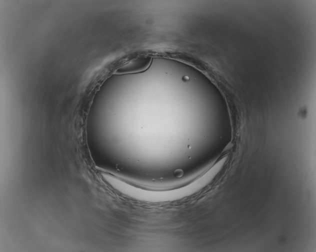 X0000116341398200912221431