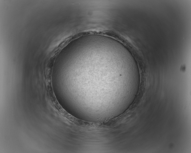 X0000116341399200912221431