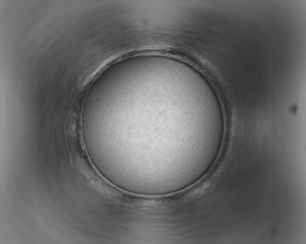 X0000116341401200912221431