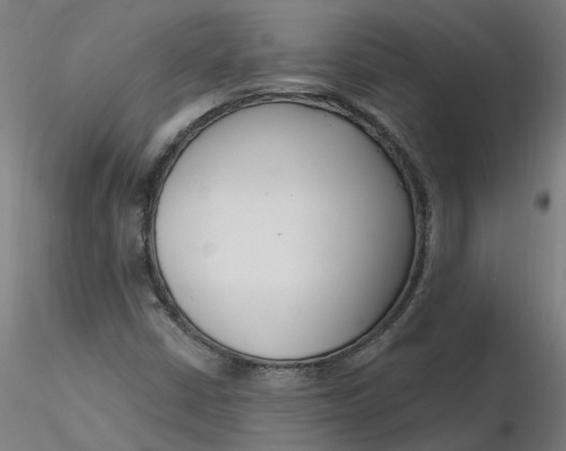 X0000116341402200912221431