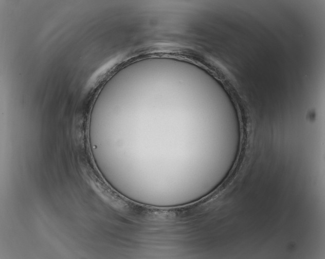 X0000116341403200912221431