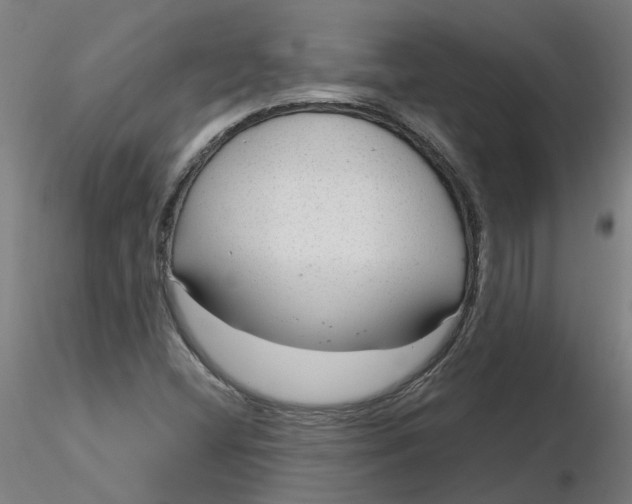 X0000116341404200912221431