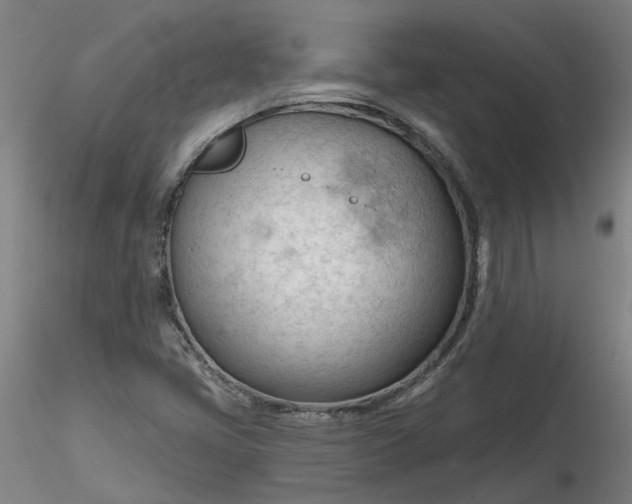 X0000116341405200912221431