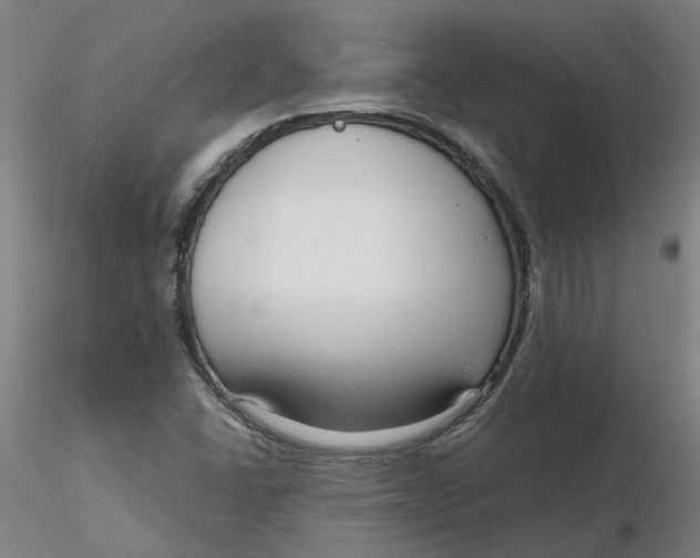 X0000116341406200912221431