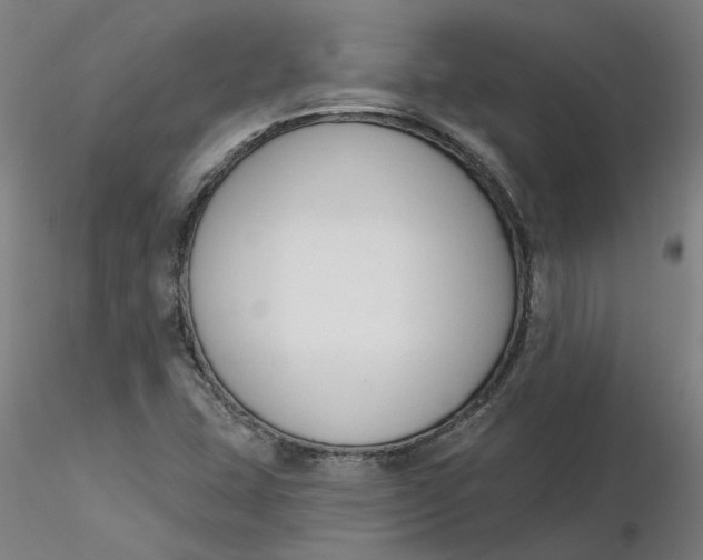 X0000116341407200912221431