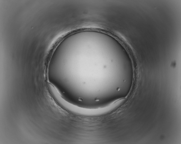 X0000116341408200912221431