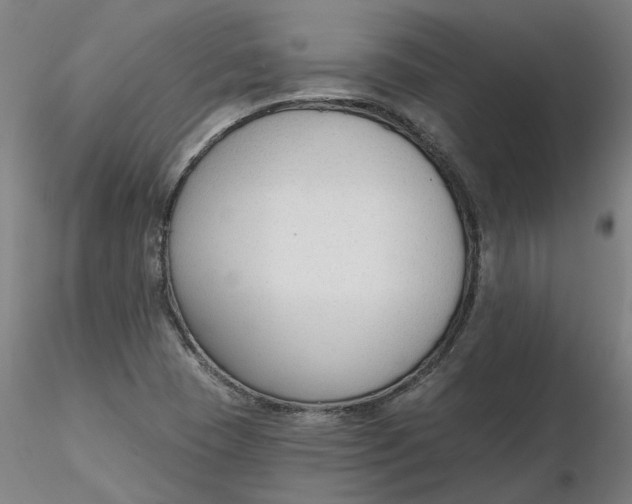 X0000116341409200912221431