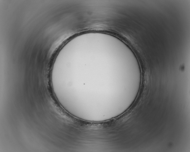 X0000116341410200912221431