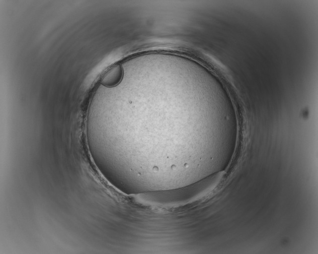 X0000116341411200912221431