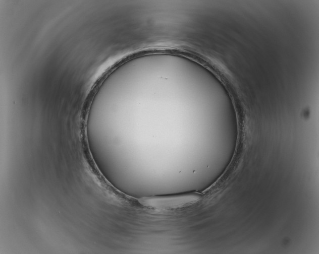 X0000116341412200912221431