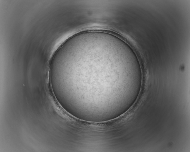 X0000116341413200912221431