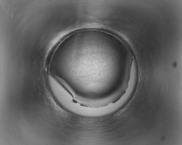 X0000116341414200912221431