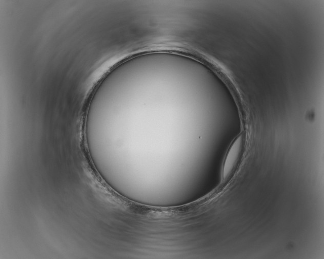 X0000116341415200912221431