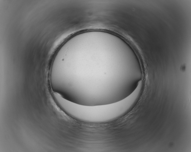 X0000116341416200912221431