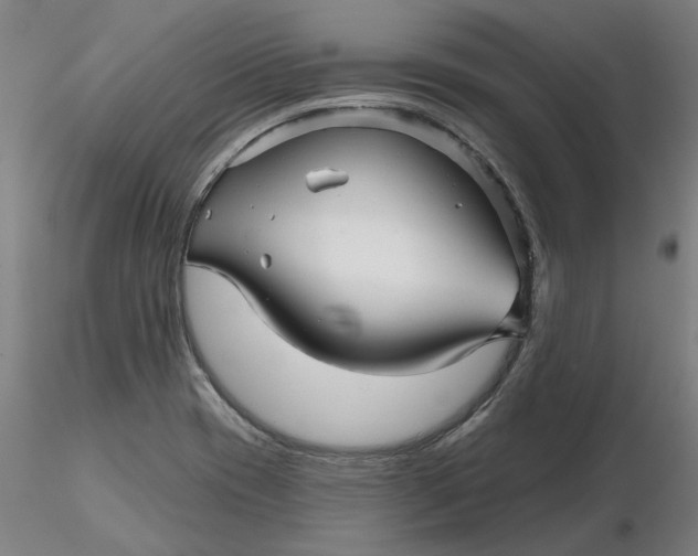 X0000116341417200912221431