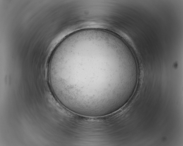 X0000116341419200912221431