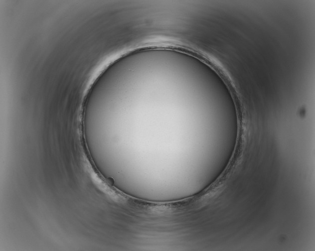 X0000116341421200912221431