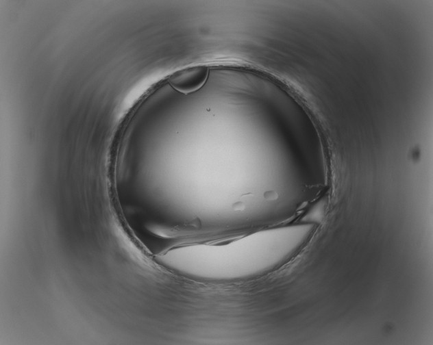 X0000116341422200912221431