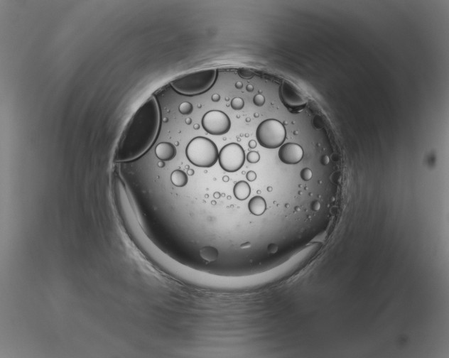 X0000116341423200912221431