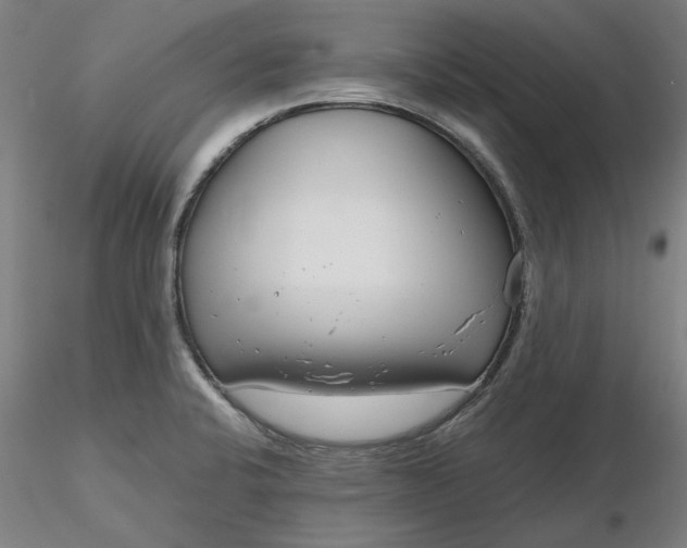 X0000116341424200912221431