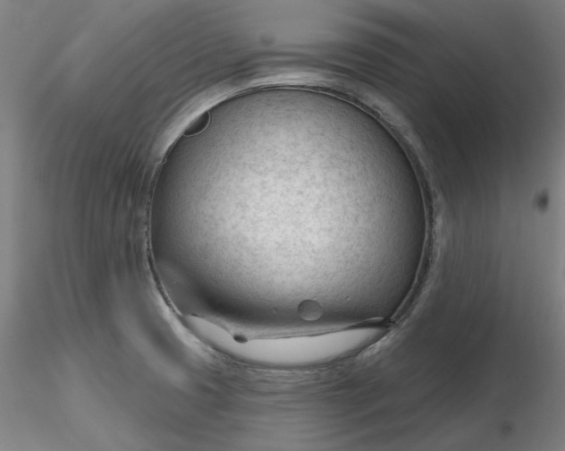 X0000116341425200912221431