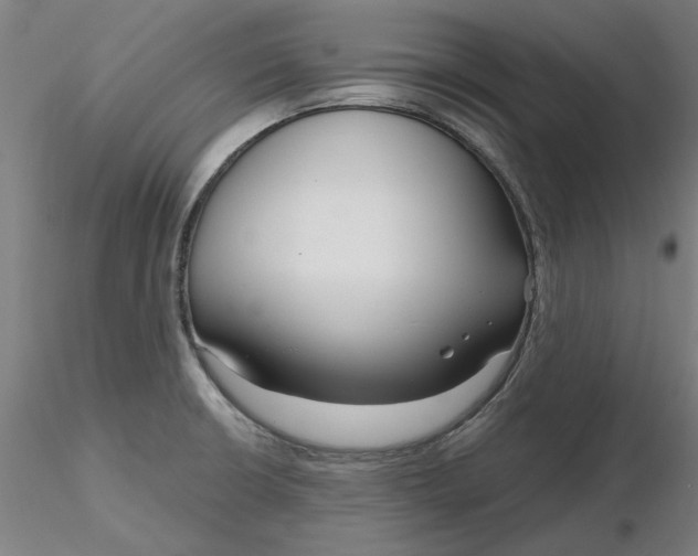 X0000116341426200912221431