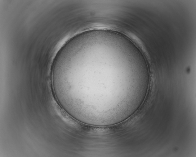 X0000116341427200912221431