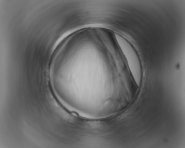 X0000116341428200912221431