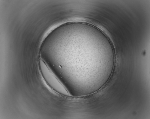 X0000116341429200912221431