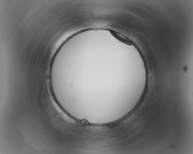 X0000116341432200912221432