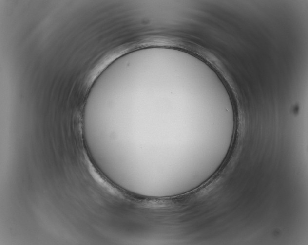 X0000116341433200912221432