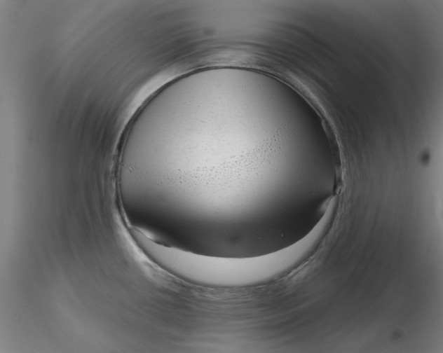 X0000116341434200912221432