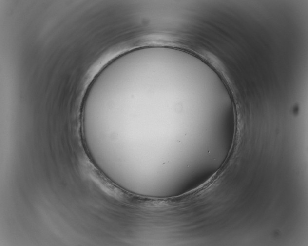 X0000116341435200912221432