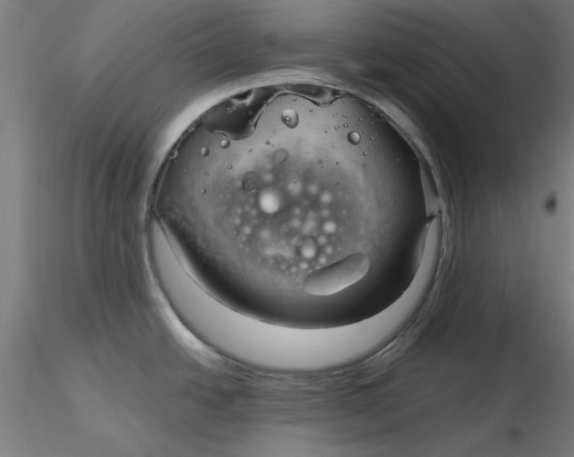 X0000116341438200912221432