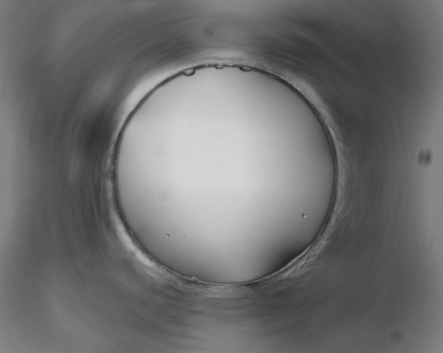 X0000116341440200912221432